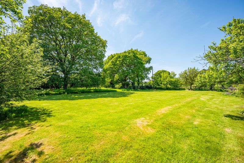 Garden- click for photo gallery